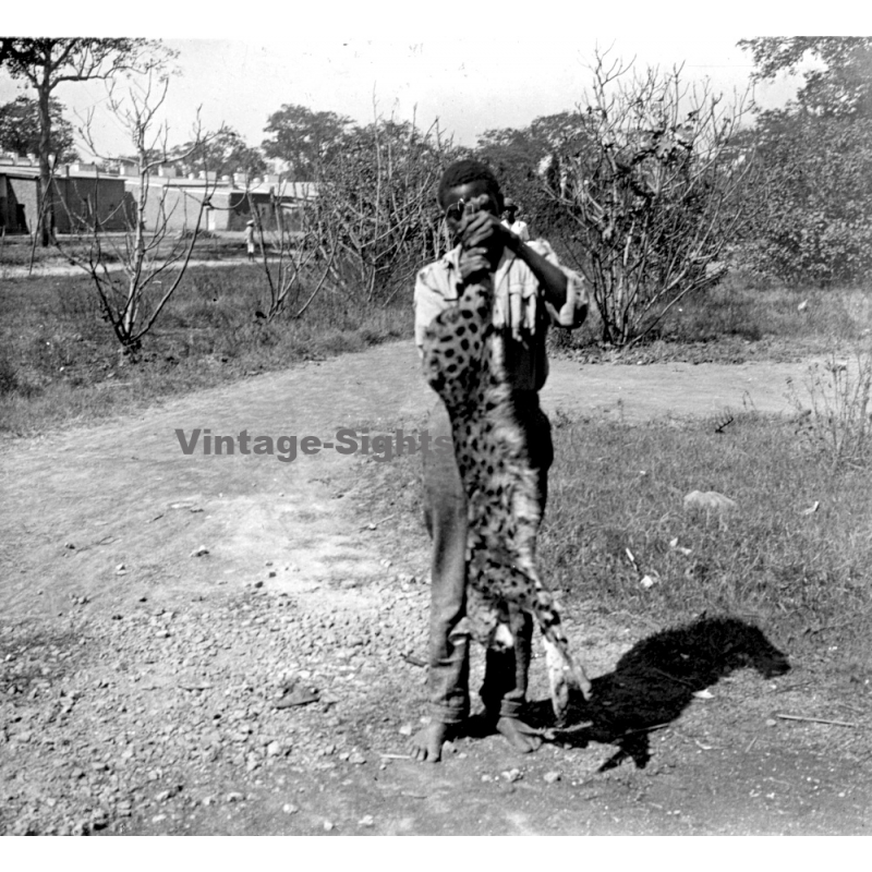 N'Djili - Kimpoko - Léopodville / Congo: Native Man With Killed Cheetah (Vintage Stereo Glass Plate 1934)