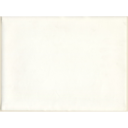 Erotic Study by Pjotr Van Moock: Topless Female With Sun Hat (Vintage XL Photo 30 x 40 CM 1980s)