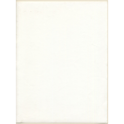 Erotic Study by Pjotr Van Moock: Beautiful Busty Nude Behind Lace Cloth (Vintage XL Photo 40 x 30 CM 1980s)