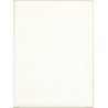 Erotic Study by Pjotr Van Moock: Beautiful Busty Nude Behind Lace Cloth (Vintage XL Photo 40 x 30 CM 1980s)