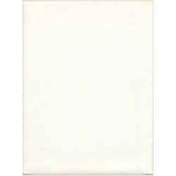 Erotic Study by Pjotr Van Moock: Beautiful Busty Nude Behind Lace Cloth*2 (Vintage XL Photo 40 x 30 CM 1980s)