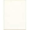 Erotic Study by Pjotr Van Moock: Beautiful Busty Nude Behind Lace Cloth*2 (Vintage XL Photo 40 x 30 CM 1980s)