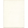 Erotic Study by Pjotr Van Moock: Experimental Take Of Busty Nude With Cigarette*2 (Vintage XL Photo 40 x 30 CM 1980s)