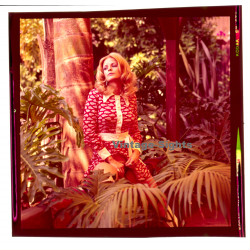 Erotic Study: Pretty Blonde Woman Outdoors*4 / Flashing (Vintage Diapositive KORENJAK 1970s/1980s)