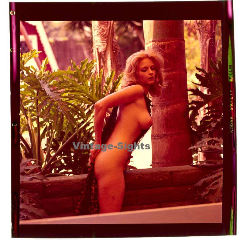 Erotic Study: Pretty Blonde Woman Outdoors*10 / Nude (Vintage Diapositive KORENJAK 1970s/1980s)