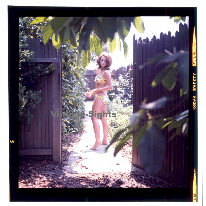 Erotic Study: Bikini Girl In Backyard / Pin-Up (Vintage Diapositive KORENJAK 1970s/1980s)
