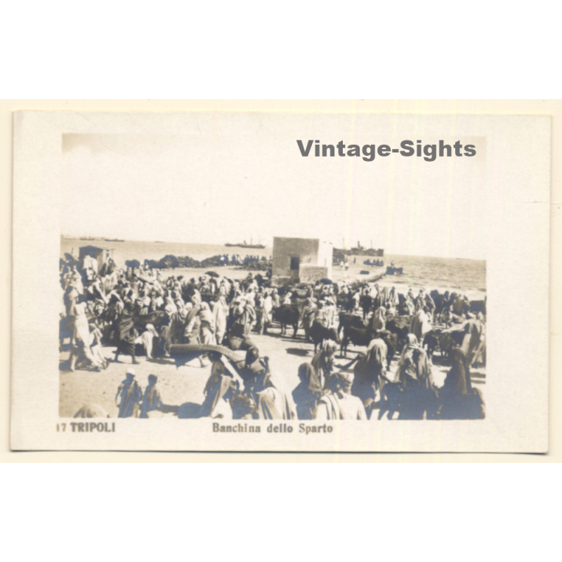 Tripoli / Italian Tripolitania: Natives, Cattle & Camels At Quay (Vintage RPPC ~1910s)