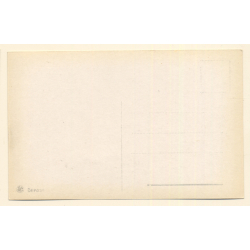 Tripoli / Italian Tripolitania: Natives, Cattle & Camels At Quay (Vintage RPPC ~1910s)