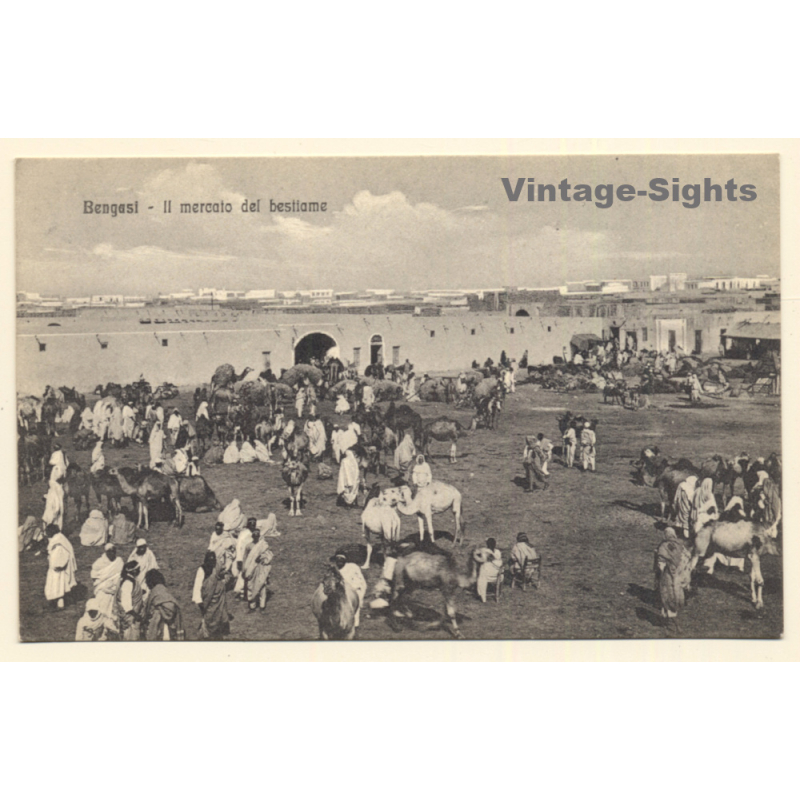 Colony Tripoli Italiana: Bengasi - Cattle Market (Vintage PC 1910s) Colony Tripoli Italiana: Bengasi - Cattle Market (Vintage PC 1910s)
