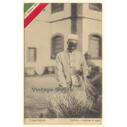 Colony Tripoli Italiano: Sceglitore Di Sparto / Ethnic (Vintage PC 1910s)