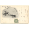 Algeria: Arabe En Prière / Ethnic (Vintage PC 1902)