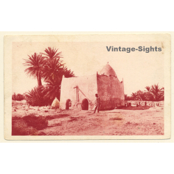 Algeria: A Marabout In The Tolga Cemetery (Vintage PC ~1930s)