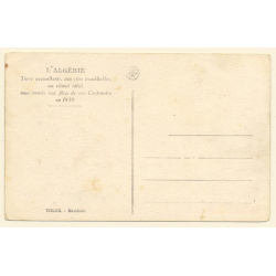 Algeria: A Marabout In The Tolga Cemetery (Vintage PC ~1930s)