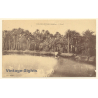 Colomb-Béchar / Algeria: L'Oued - La Palmeraie (Vintage PC 1926)