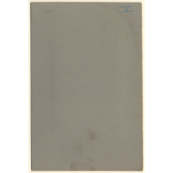 L. Neyt / ABP: Cool Family Portrait In Front Of Paintings (Vintage Photo ~1900s/1910s)