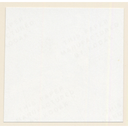 Erotic Study: Racy Blonde Nude Relaxes In The Sun*4 / Legs (Vintage Contact Print 1970s/1980s)