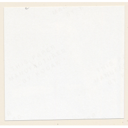 Erotic Study: Racy Blonde Nude Relaxes In The Sun*5 / Legs (Vintage Contact Print 1970s/1980s)