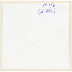 Erotic Study: Racy Blonde Nude Relaxes In The Sun*6 / Thighs (Vintage Contact Print 1970s/1980s)