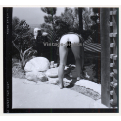 Erotic Study: Racy Blonde Nude Relaxes In The Sun*10 / Butt (Vintage Contact Print 1970s/1980s)