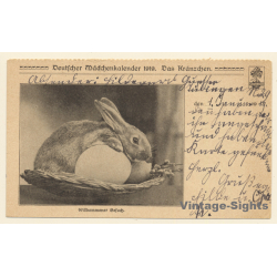 Deutscher Mädchenkalender 1919: Osterhase (Vintage PC)