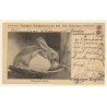 Deutscher Mädchenkalender 1919: Osterhase (Vintage PC)