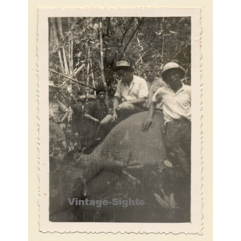 Liberia: Nativ Hunters With Killed Prey (Vintage Photo ~1950s) Liberia: Nativ Hunters With Killed Prey (Vintage Photo ~1950s)