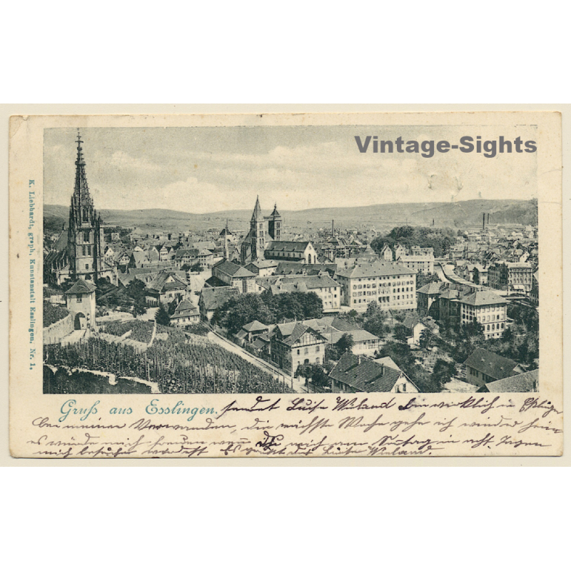 Esslingen a. Neckar: Total View (Vintage PC 1902)