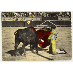 Torero & Bull In Bullfighting Arena (Vintage Colored Postcard)