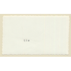 Congo Belge: Killed Rhinocerus - Big Game Hunting (Vintage Photo ~1940s/1950s)