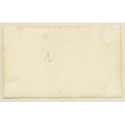 Congo Belge: Indigenous Staff Of A Colonial Households (Vintage Photo ~1930s/1940s)