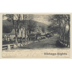 Wendefurt Im Harz: Street View (Vintage PC 1903)