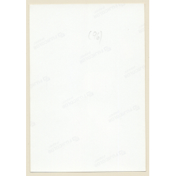 Erotic Study: Rear View Of Semi Nude In Ripped Fishnets / Lacquer Gloves (Vintage Photo East Germany 1990s)