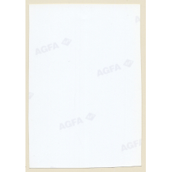 Erotic Study: Cheeky Slim Nude In Satin Lingerie / Nip Slip (Vintage Photo East Germany 1990s)