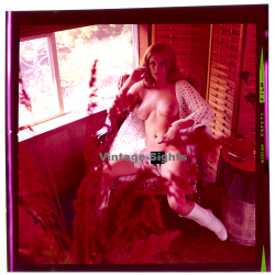 Erotic Study: Busty Nude Blonde With White Blanket*8 / Sitting (Vintage Diapositive KORENJAK 1970s/1980s)