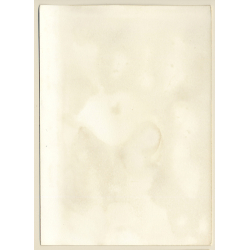 Erotic Study: Rear View Of Long-Haired Nude Sitting On Meadow (Vintage Photo GDR 1980s)