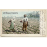 First Hoeing Of Cotton / African-American Field Workers (Vintage PC 1904)