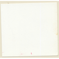 Erotic Study: 2 Gorgeous Slim Semi Nude Try On Lacquer Lingerie*5 / BDSM (Vintage Contact Print 1970s/1980s)