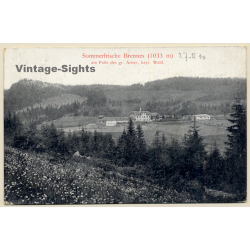 Brennes / Bayerisch Eisenstein: Panorama View (Vintage PC 1910)