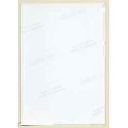 Erotic Study: Cheeky Brunette Nude Kneeling On Couch / Rear View - Butt (Vintage Photo East Germany 1990s)