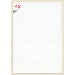 Erotic Study: Cheeky Semi Nude Curlyhead*1 / Butt (Vintage Photo East Germany 1990s)