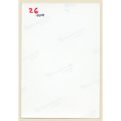 Erotic Study: Cheeky Semi Nude Curlyhead*2 / White Nylons (Vintage Photo East Germany 1990s)