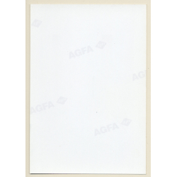 Erotic Study: Slim Blonde Nude Curlyhead Looking At Camera (Vintage Photo ~1990s)