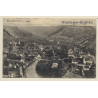 Sulz Am Neckar: Solbad / Total View - Vineyards (Vintage PC 1912)