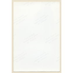 Erotic Study: Natural Nude Female Looks At Camera / Boobs (Vintage Photo France ~1980s)