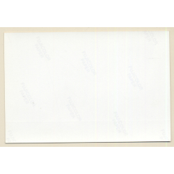 Erotic Study: Leggy Blonde Nude Reclining On Blanket (Vintage Photo France ~1980s)