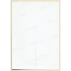 Erotic Study: Sweet Natural Nude In Transparent Lingerie*1 (Vintage Photo East Germany 1990s)