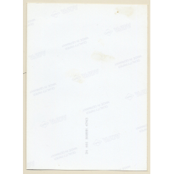 Erotic Study: Sweet Topless Dark-Haired Nude Smiles At Camera (Vintage Photo East Germany 1990s)