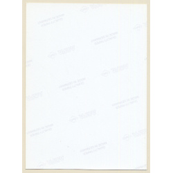 Erotic Study: Great Take Of Chubby Short-Haired Nude (Vintage Photo East Germany 1990s)