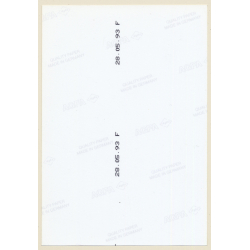 Erotic Study: Natural Nude Takes A Dip In The Baltic Sea (Vintage Photo East Germany 1990s)