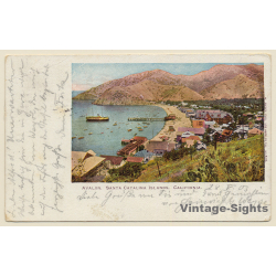 USA: Avalon, Santa Catalina Islands, California (Vintage PC 1903)